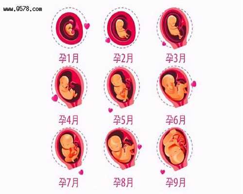 长春供卵有母血基因吗_对供卵生的孩子的情感_做试管到底需不需要减肥？