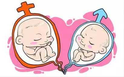 长沙找试管代孕要多少钱_长沙找单身女人代孕价格_试管婴儿胚胎移植能看出男